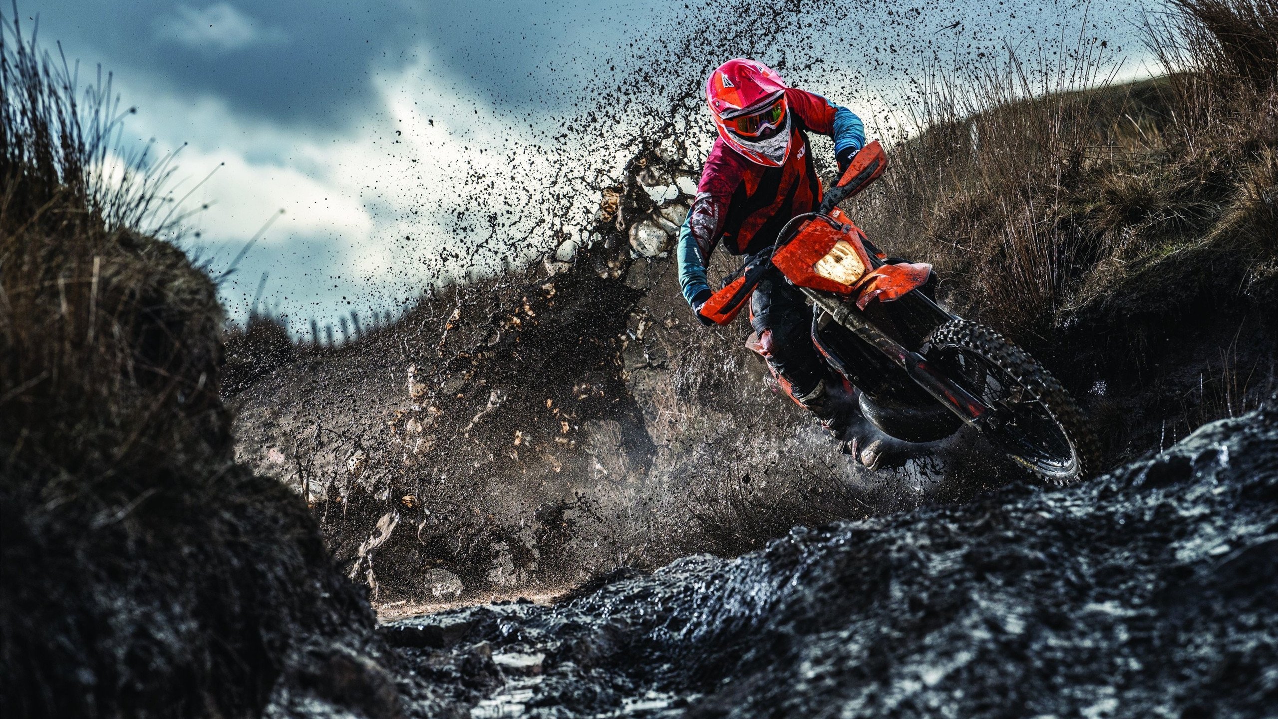 世界杯后多家影视公司筹拍相关题材电影与剧集